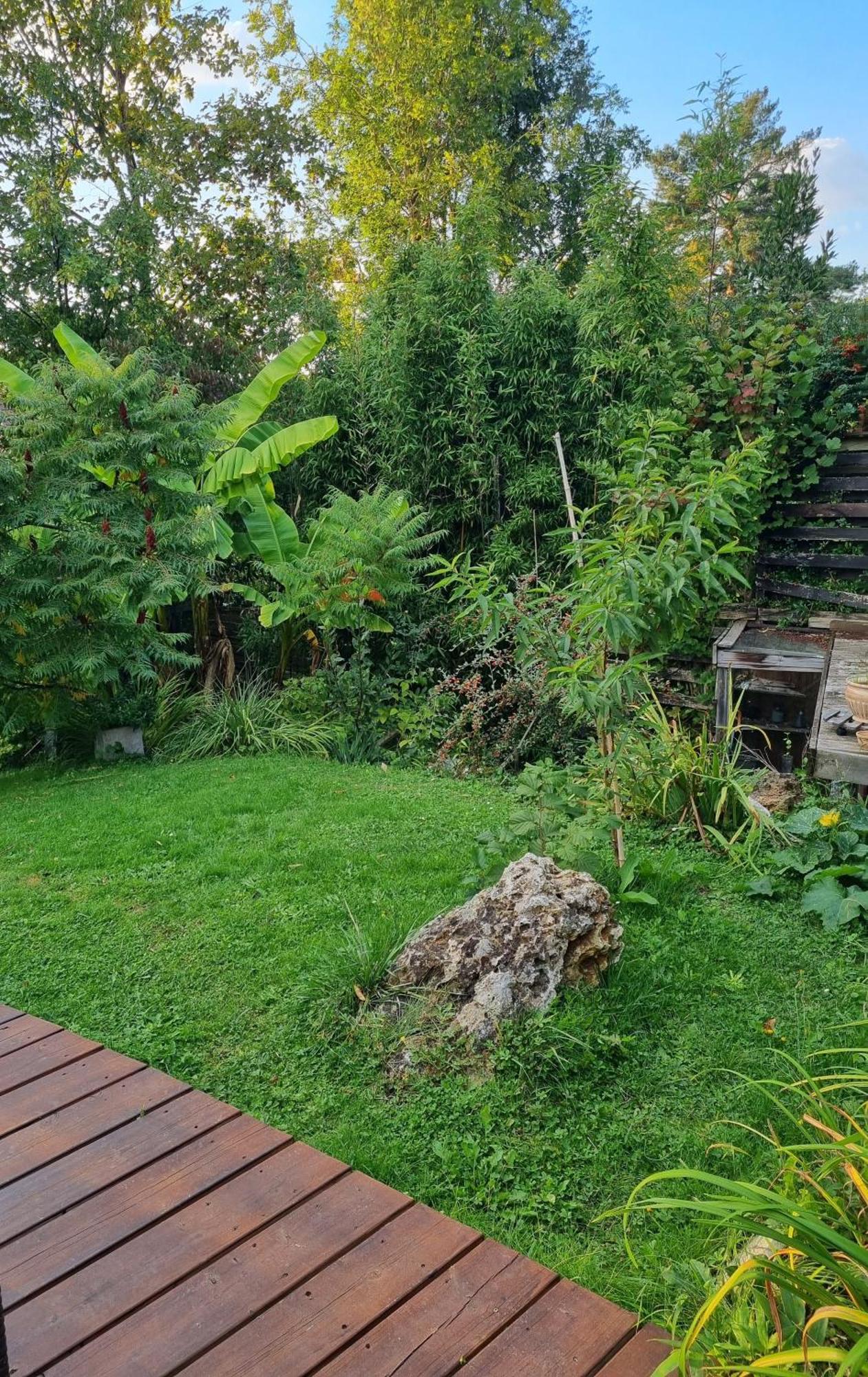 Saint-Rémy-lès-Chevreuse Belle Maison D'Art Verdoyante & Jardin מראה חיצוני תמונה