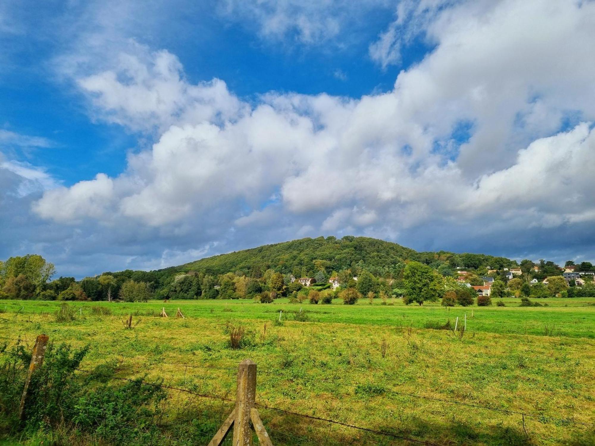 Saint-Rémy-lès-Chevreuse Belle Maison D'Art Verdoyante & Jardin מראה חיצוני תמונה